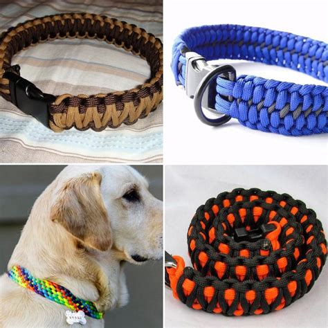 collare cuoio paracord|paracord dog collar.